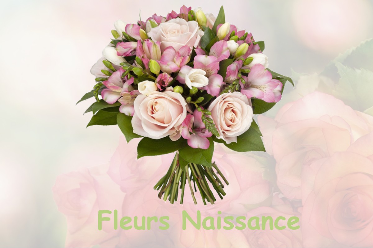 fleurs naissance FLAVIGNY-LE-GRAND-ET-BEAURAIN